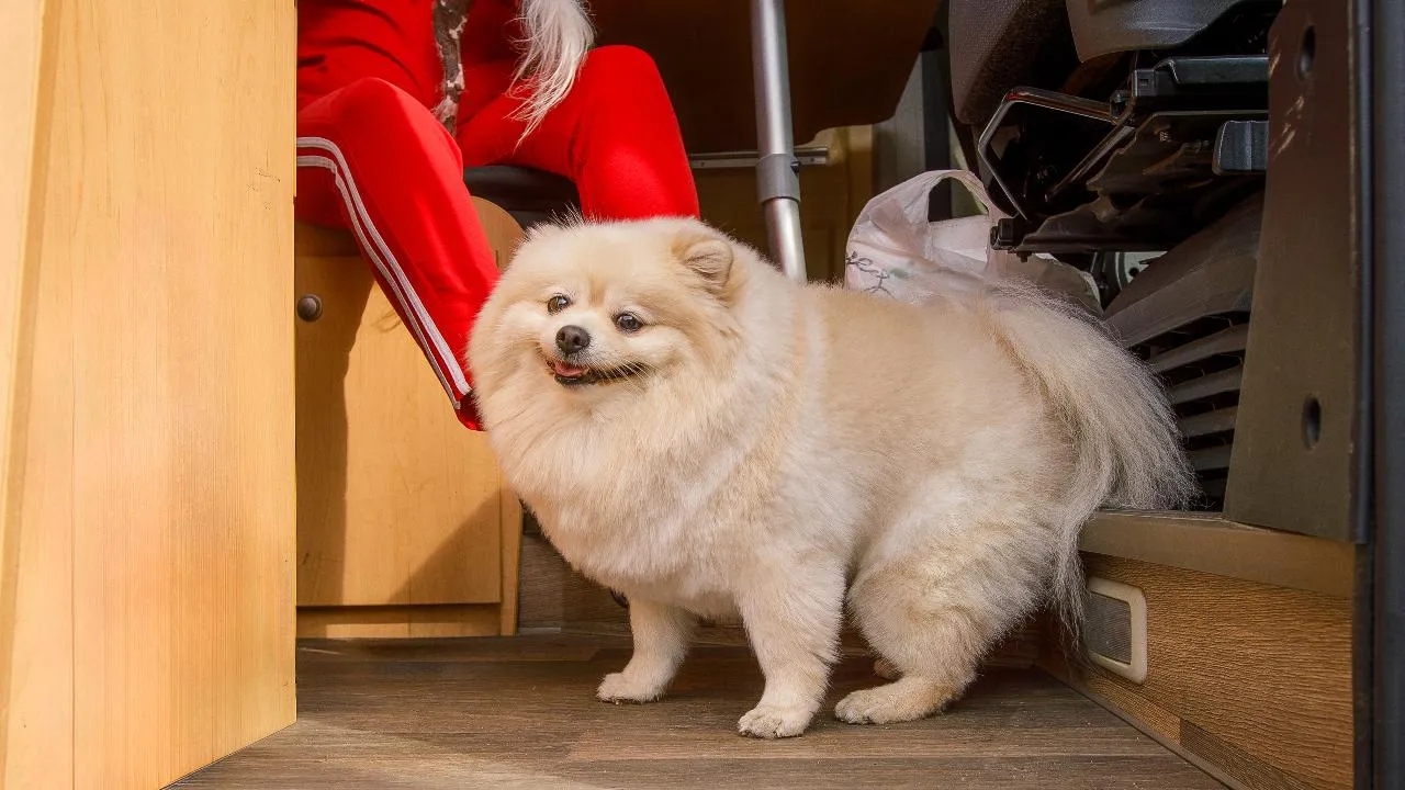 медиасток.рф