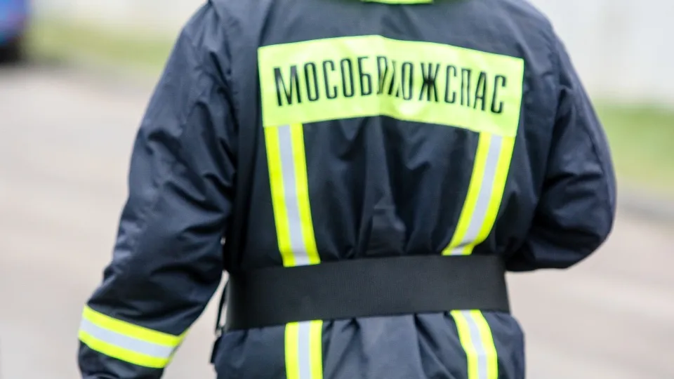 Фото: пресс-служба администрации г.о. Кашира