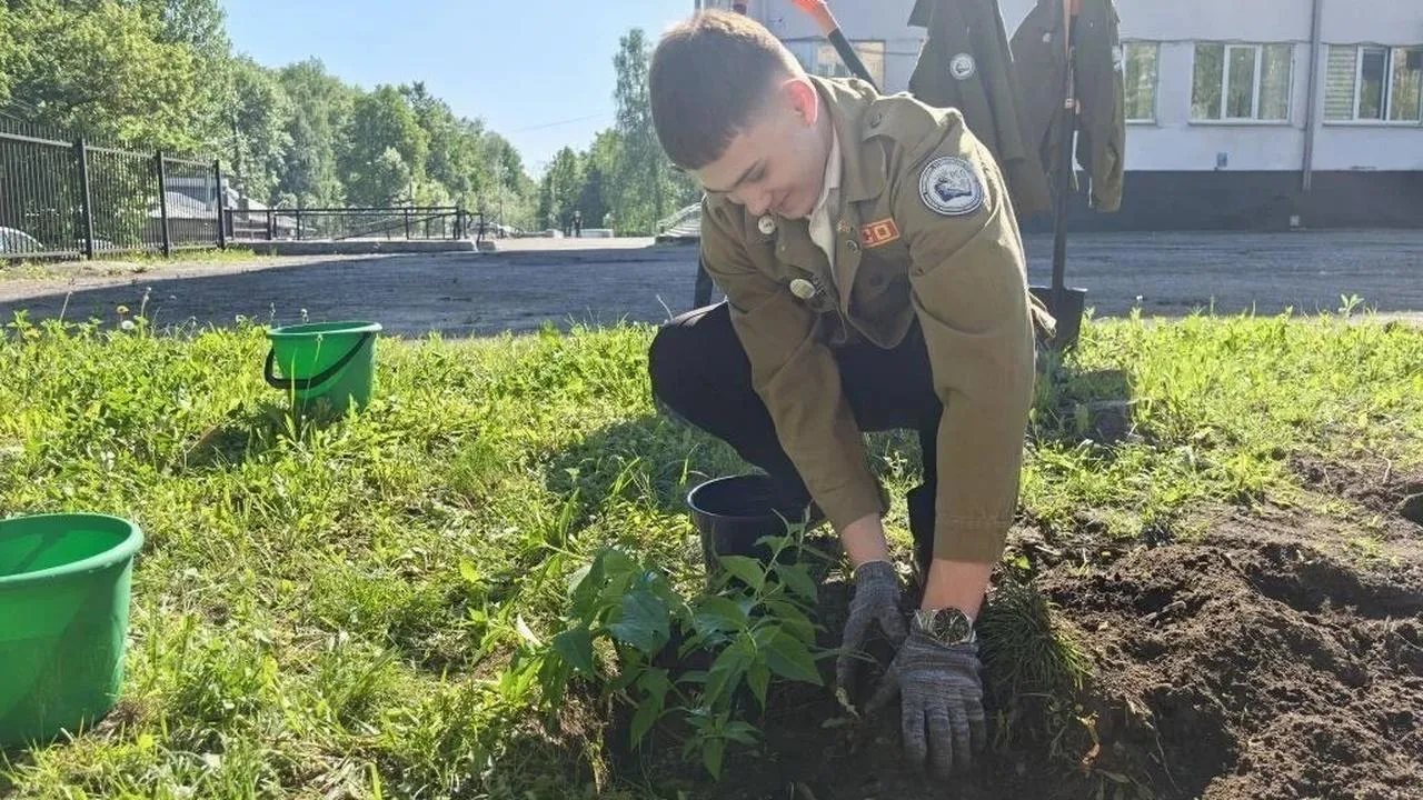 Картинка