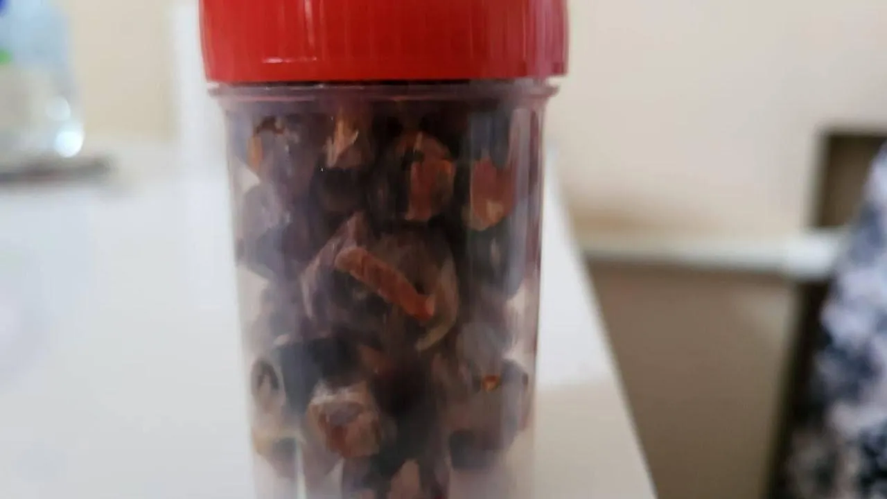 Фото: пресс-служба г.о. Домодедово