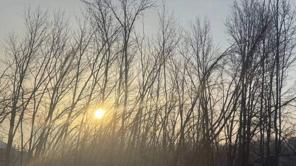 Фото: REGIONS/Евгения Макаренко