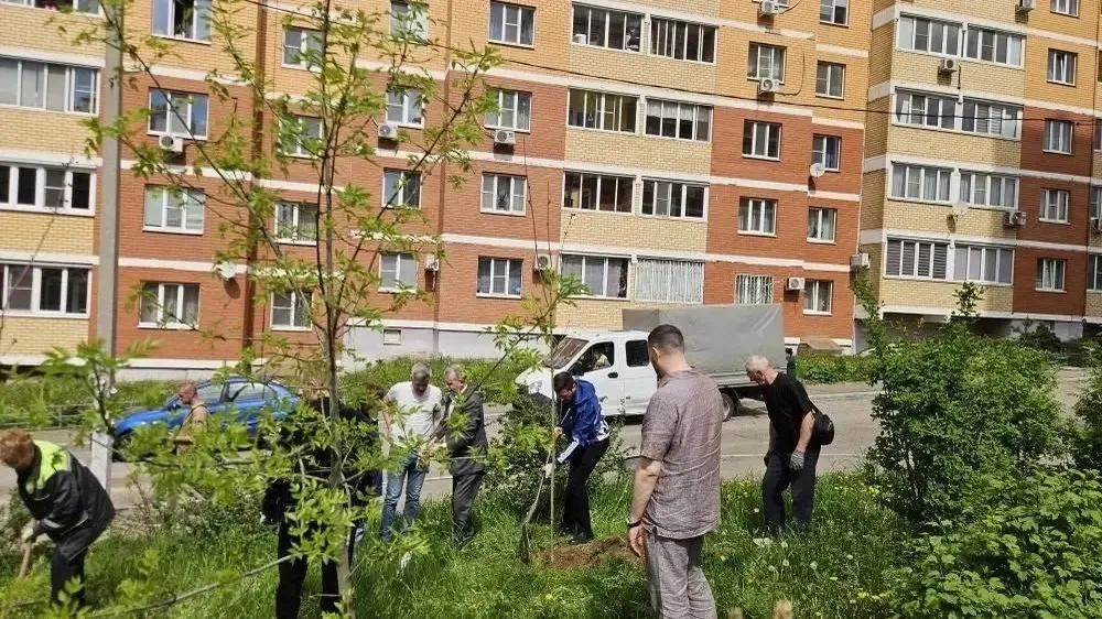 Картинка