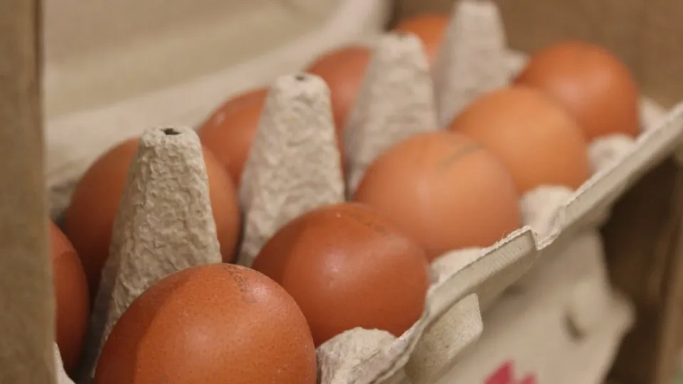 Фото: REGIONS/Анастасия Широкая