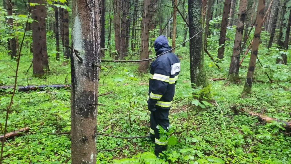 Фото: ГКУ МО «Мособлпожспас»