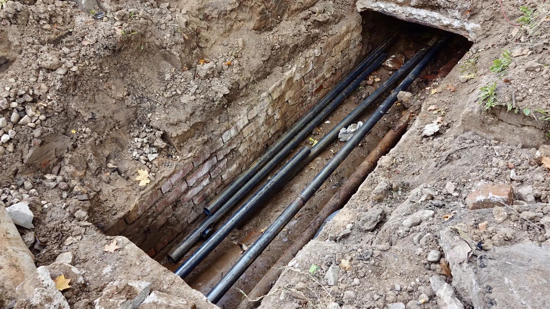 Фото: REGIONS/Дарья Леонова