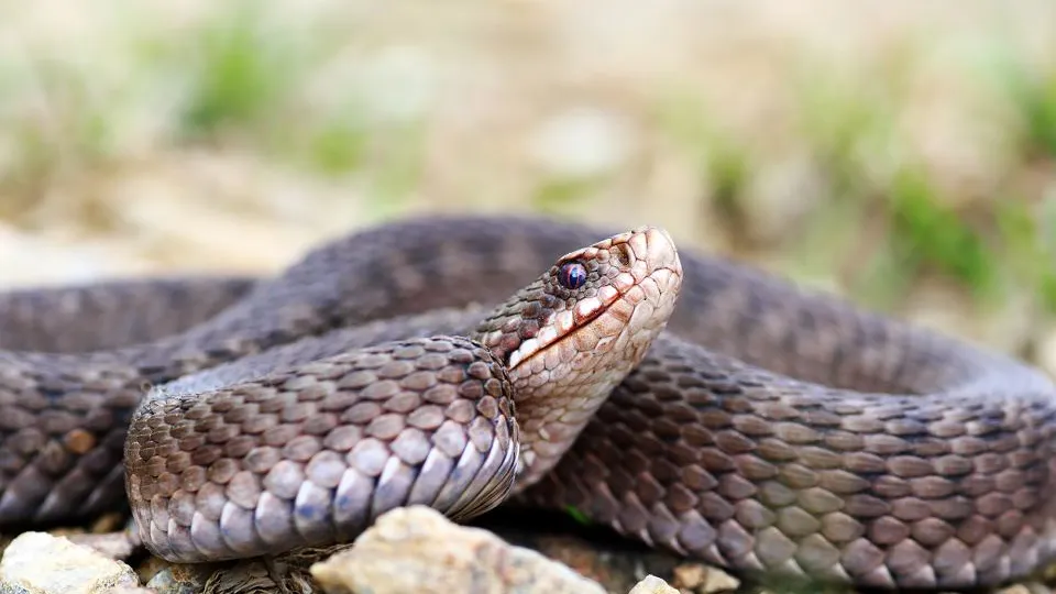 Фото: istockphoto.com