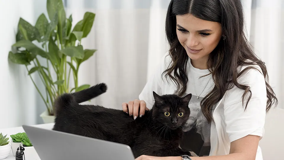 Фото: freepik.com