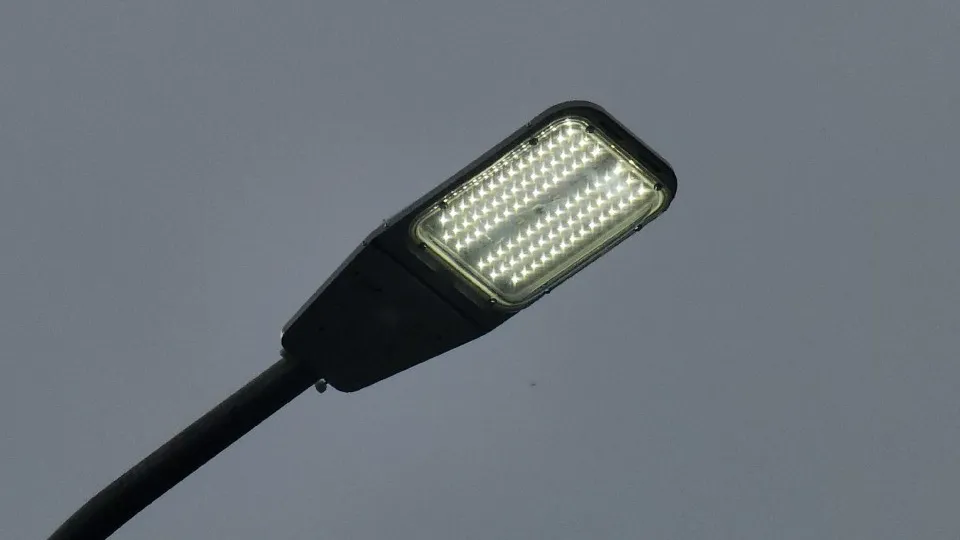 Фото: МедиаБанк Подмосковья/Артем Мишуков