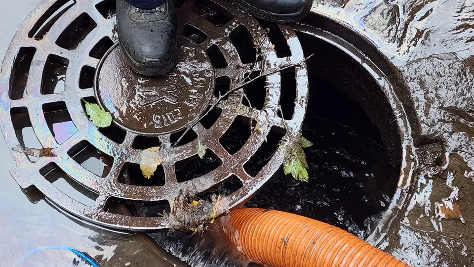 Фото: Кристина Тришина