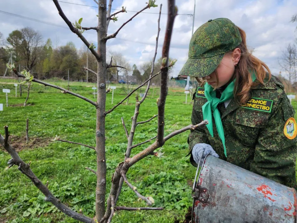 Фото: Яна Шаливская