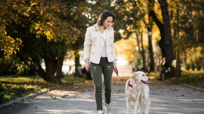 Фото: ru.freepik.com