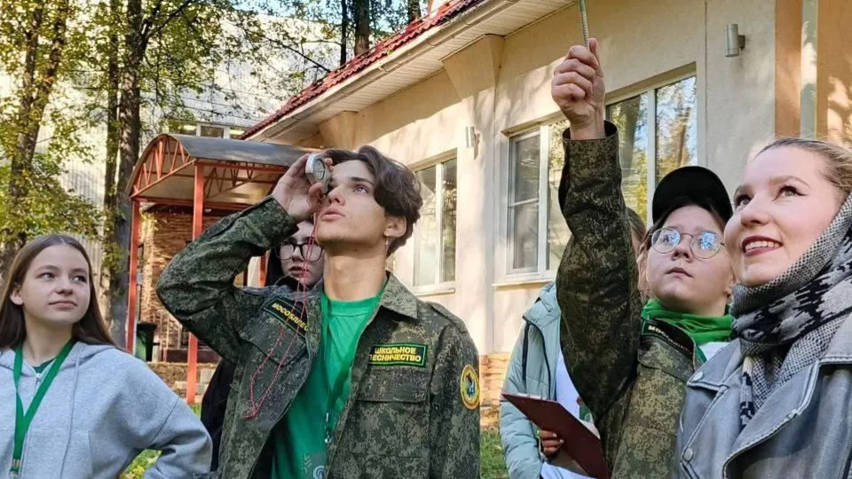 Фото: Комитет лесного хозяйства МО