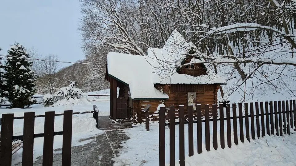 Фото: МедиаБанк Подмосковья/Юлия Скавронова