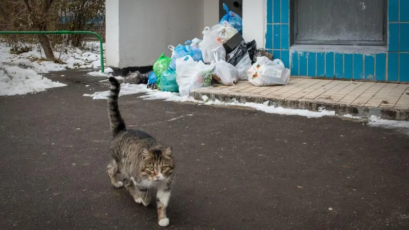 Химки едва не утонули в снегу и мусоре из-за задержки зарплаты дворникам