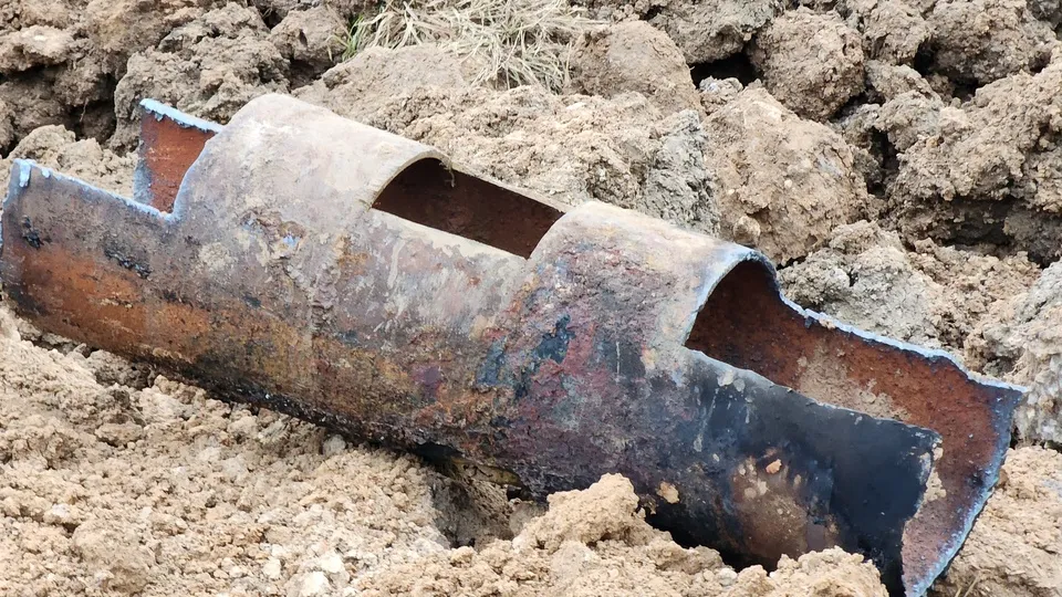 Фото: МедиаБанк Подмосковья/Екатерина Данилина