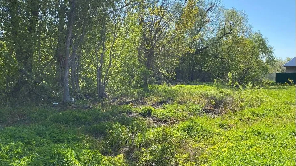 Фото: пресс-служба администрации Орехово-Зуевского г.о.