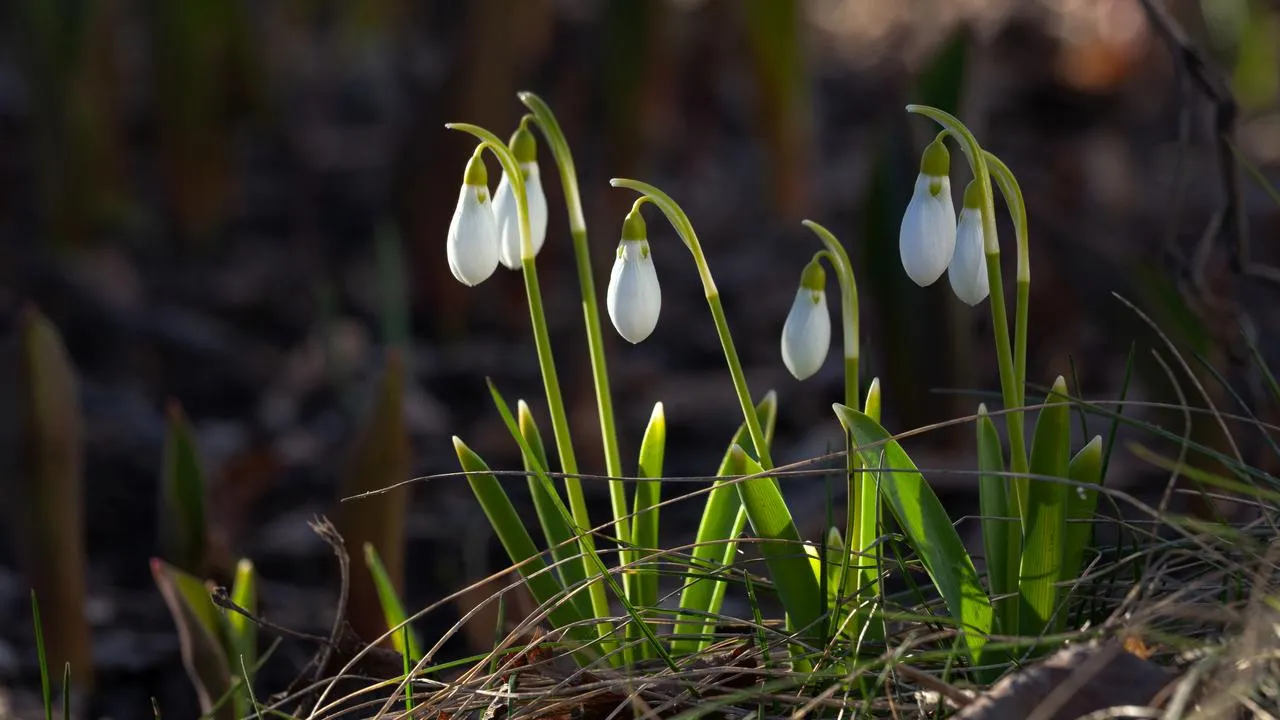 медиасток.рф