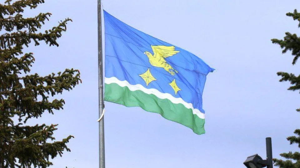 Фото: пресс-служба администрации г.о. Ступино