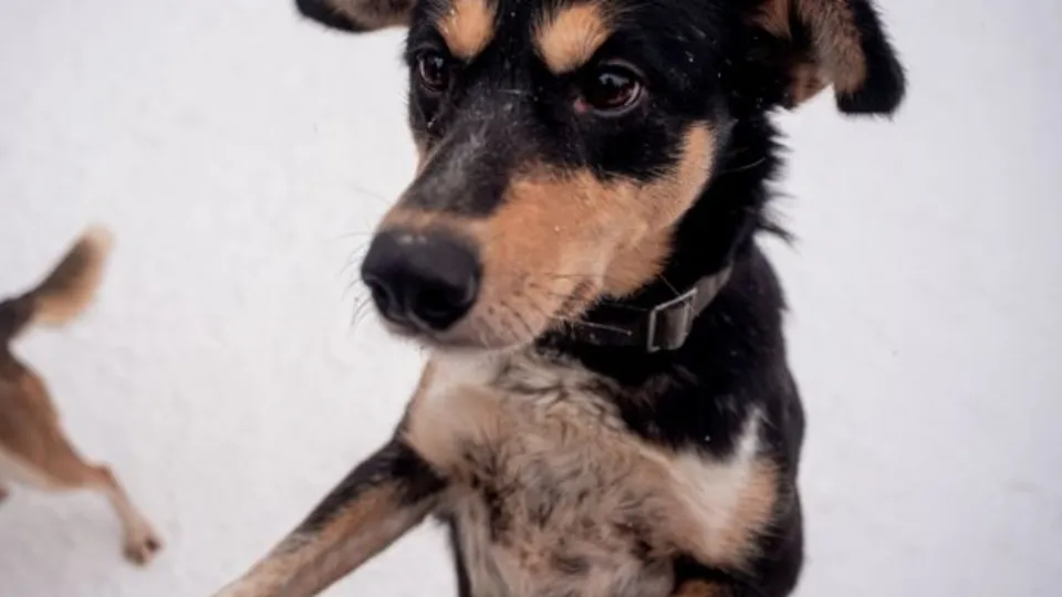 Фото: медиасток.рф