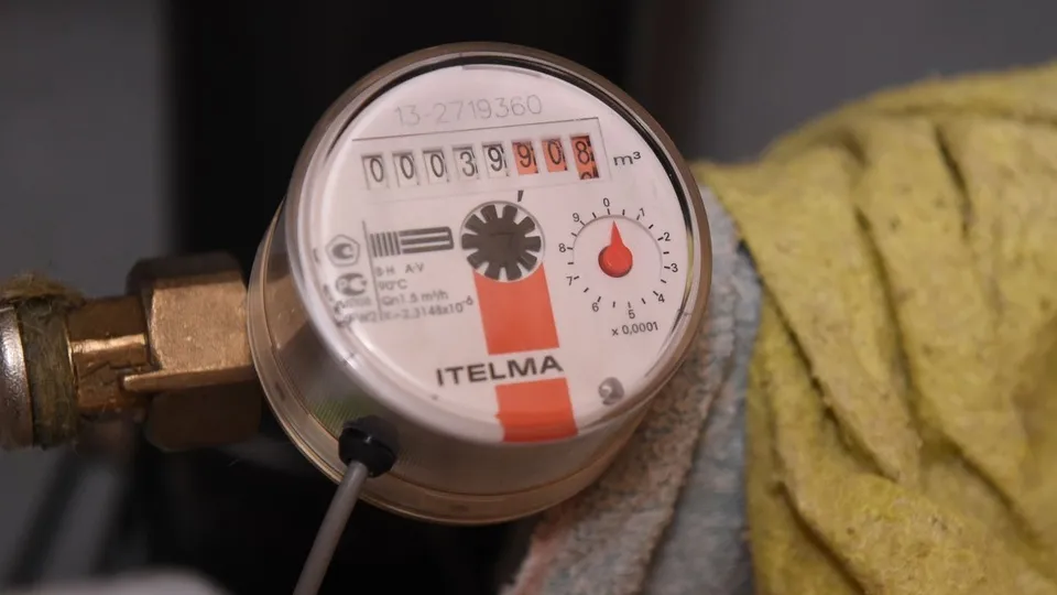 Фото: Медиаархив Подмосковья