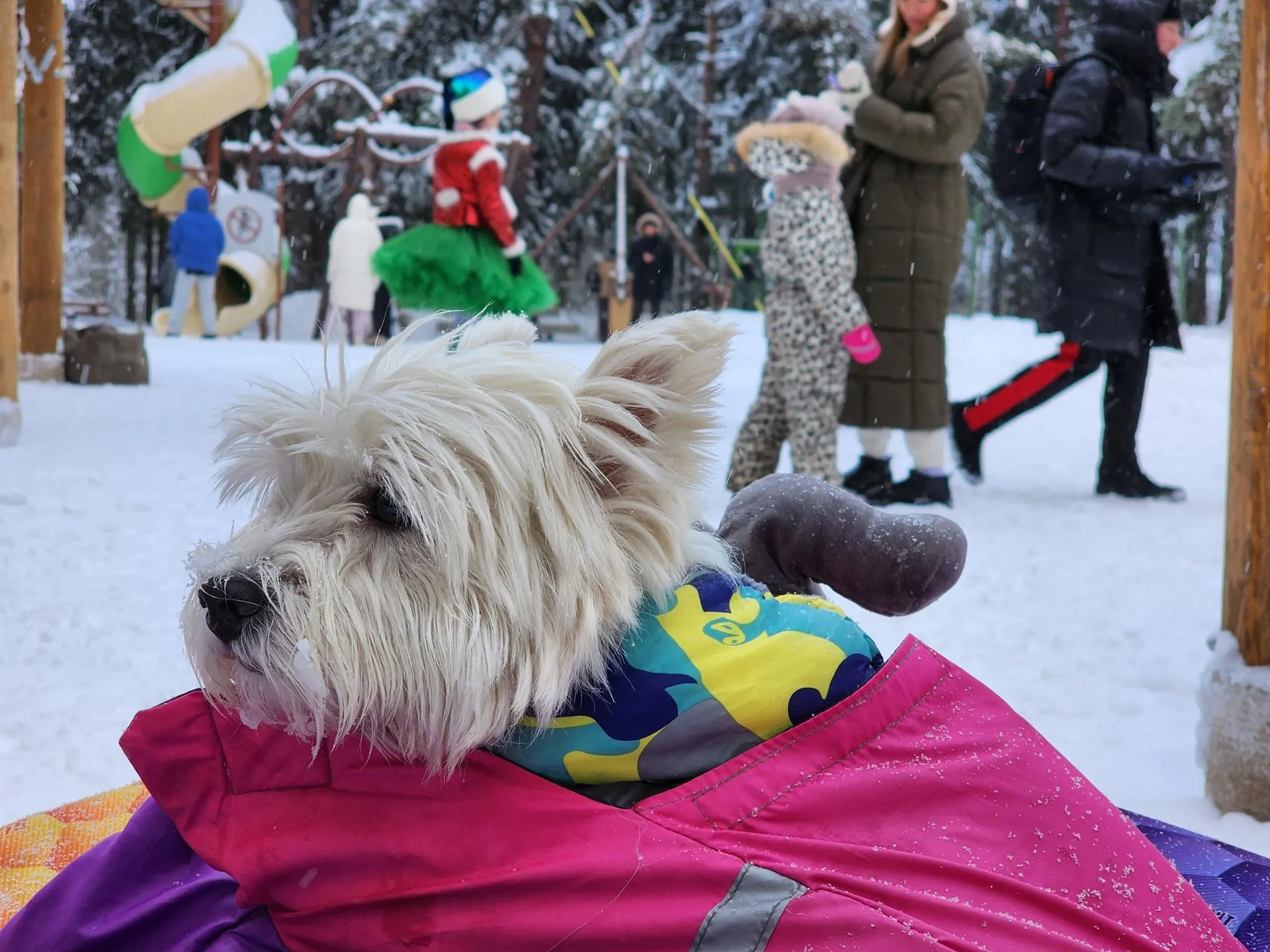 Фото: Владимир Киселев