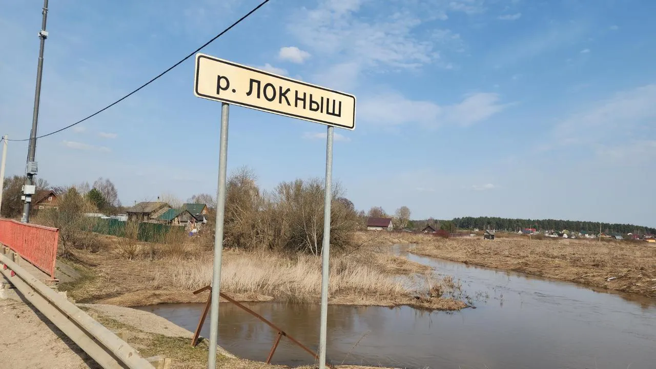 МедиаБанк Подмосковья/Дмитрий Беденко