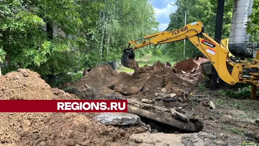 Фото: Ксения Афонина