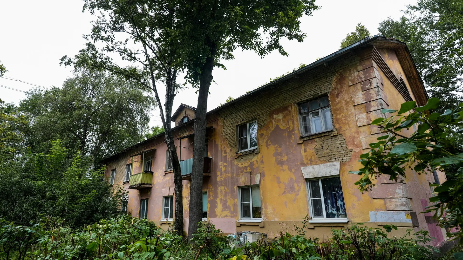 Фото: медиасток.рф