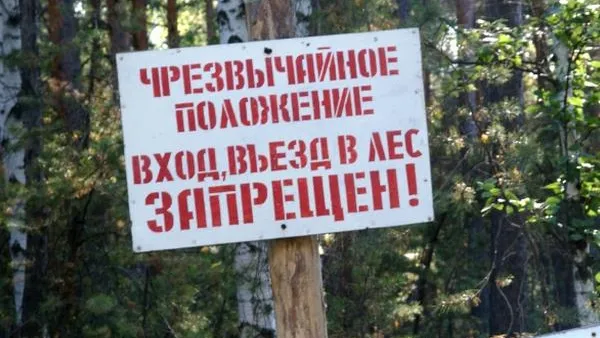 Посещение подмосковных лесов могут ограничить с 1 мая