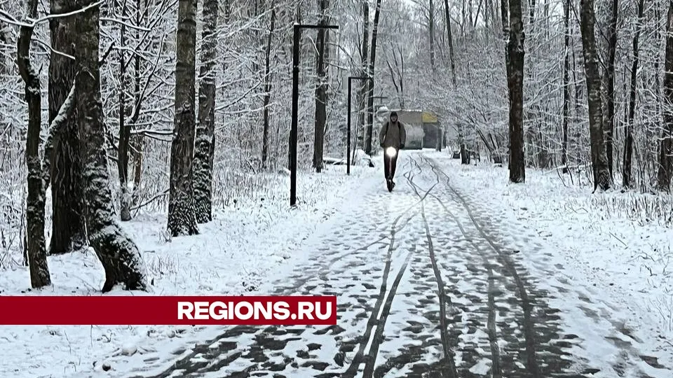 Фото: REGIONS/Елена Фурман