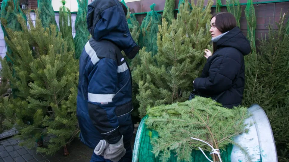 Фото: пресс-служба администрации г.о. Коломна