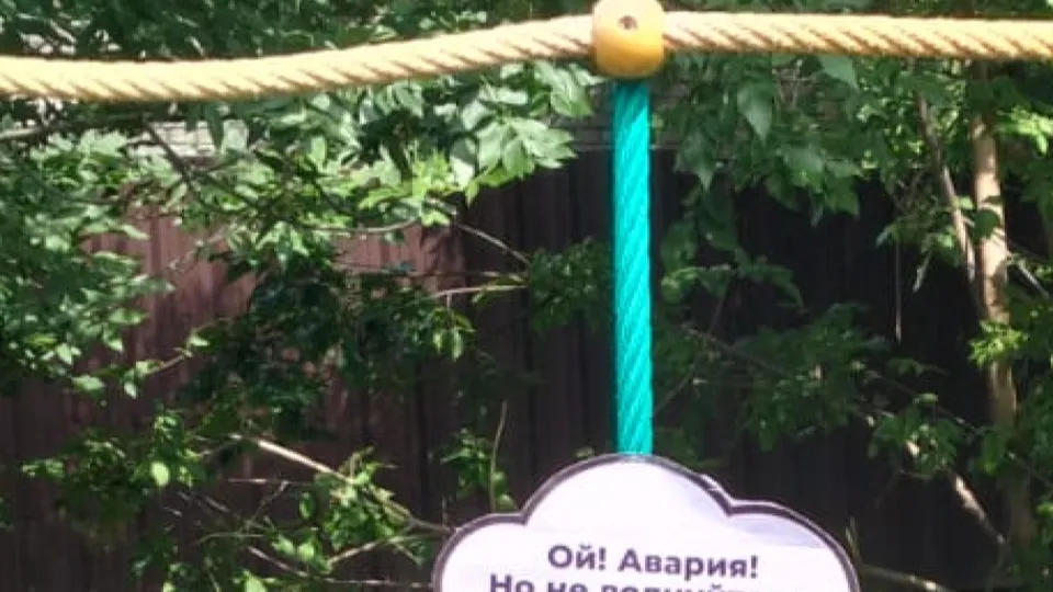 Фото: МедиаБанк Подмосковья/МБУ «Чеховское благоустройство»