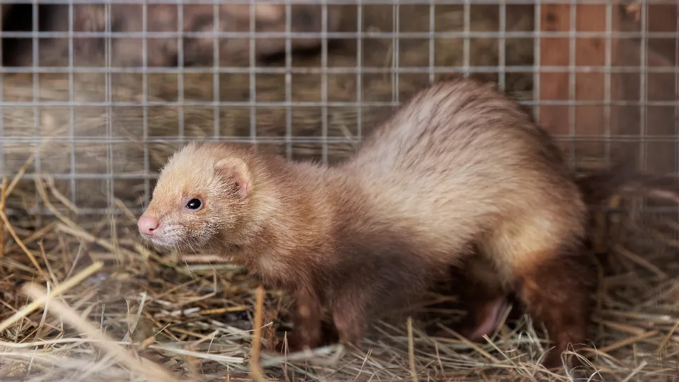 Фото: медиасток.рф