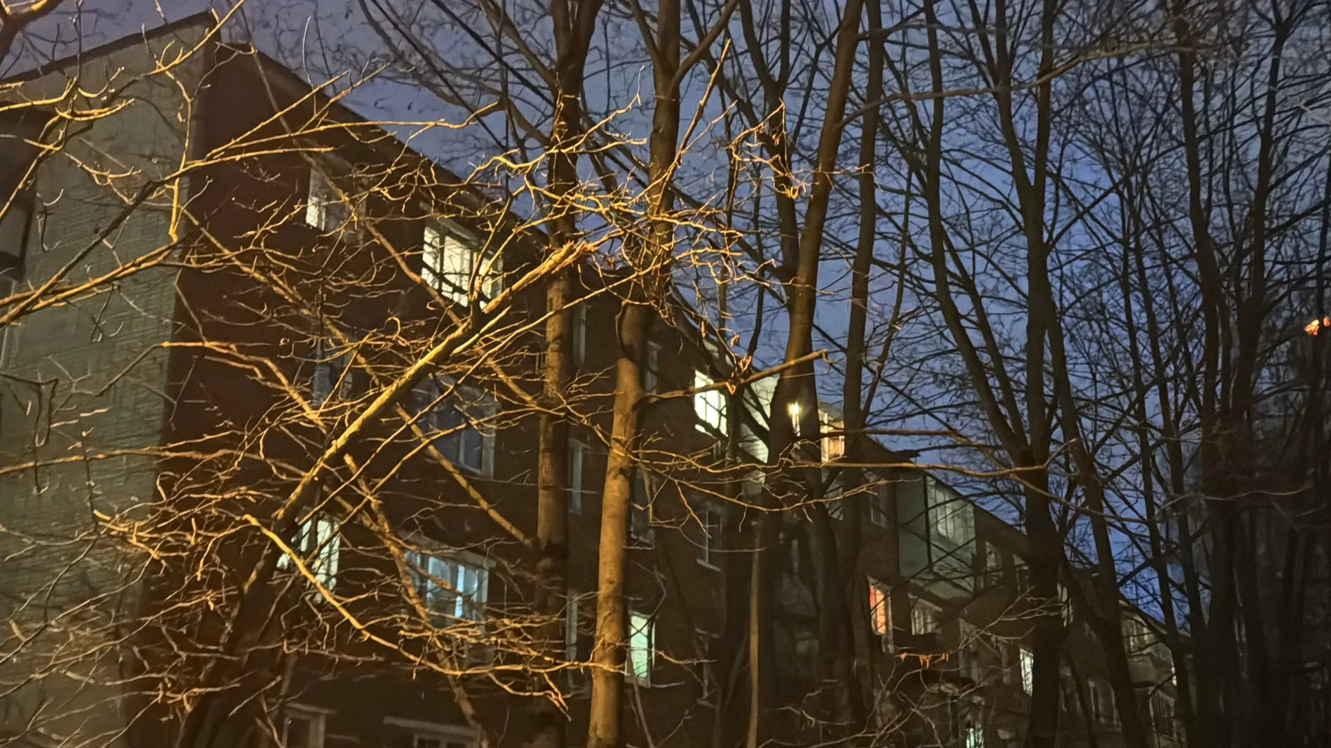 Фото: МедиаБанк Подмосковья/Мария Шматкова