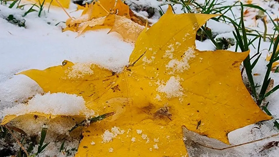 Фото: REGIONS/Наталия Надточая