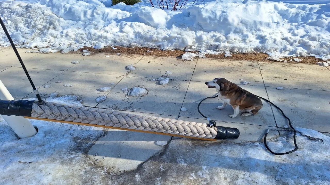 Оборванные качели