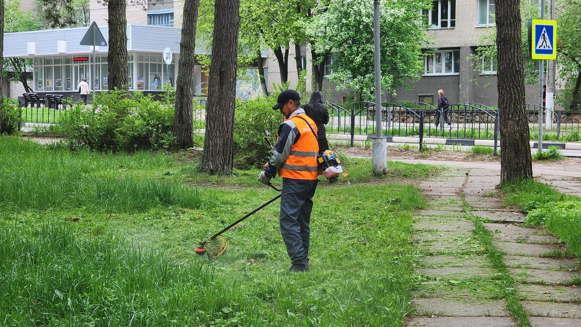Картинка