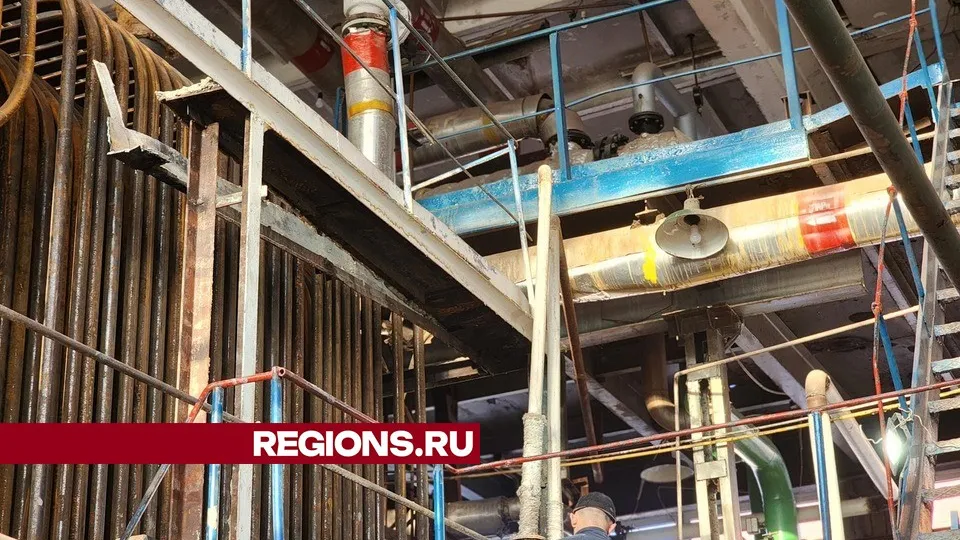 Фото: Светлана Плотникова