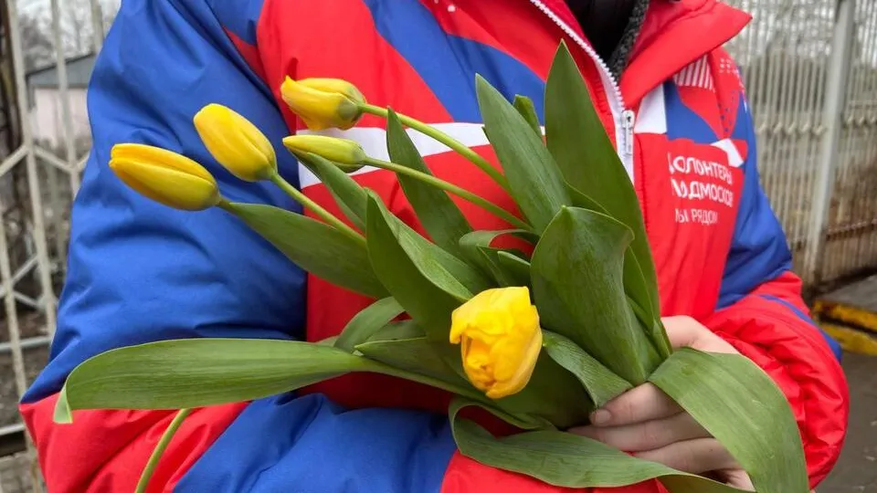 Фото:  REGIONS/Светлана Плотникова