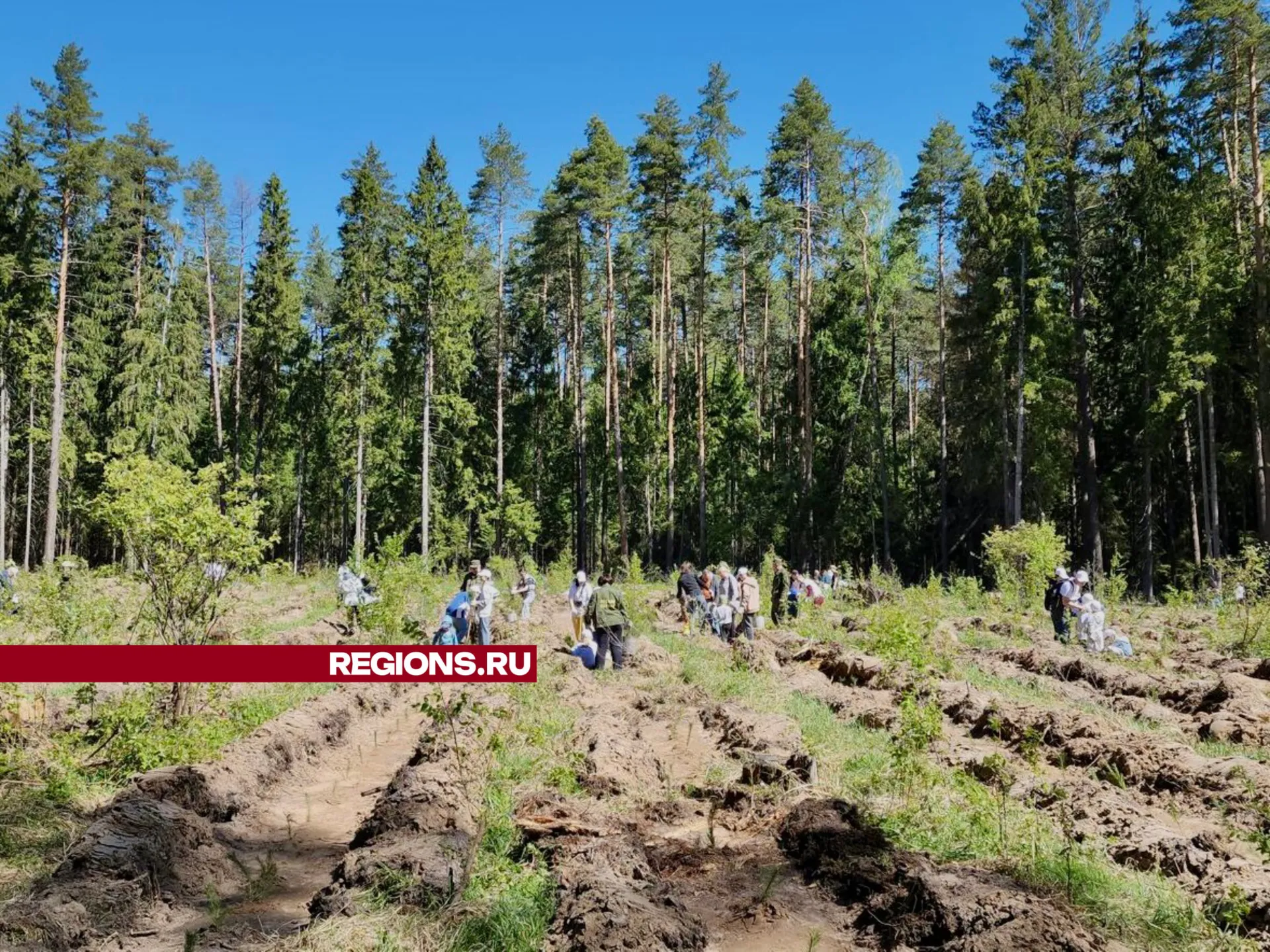 Фото: Виталий Сид