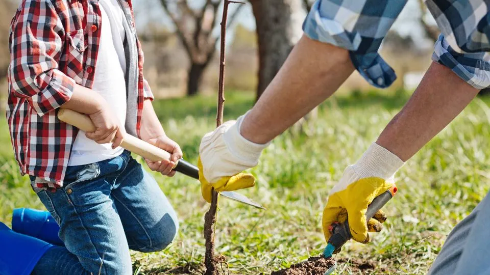 Фото: istockphoto.com