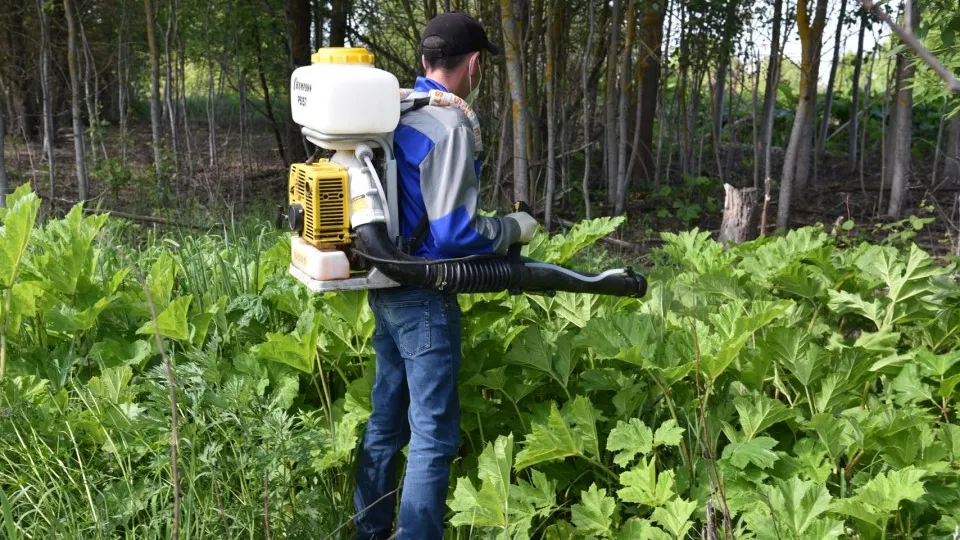 Фото: Владимир Останин