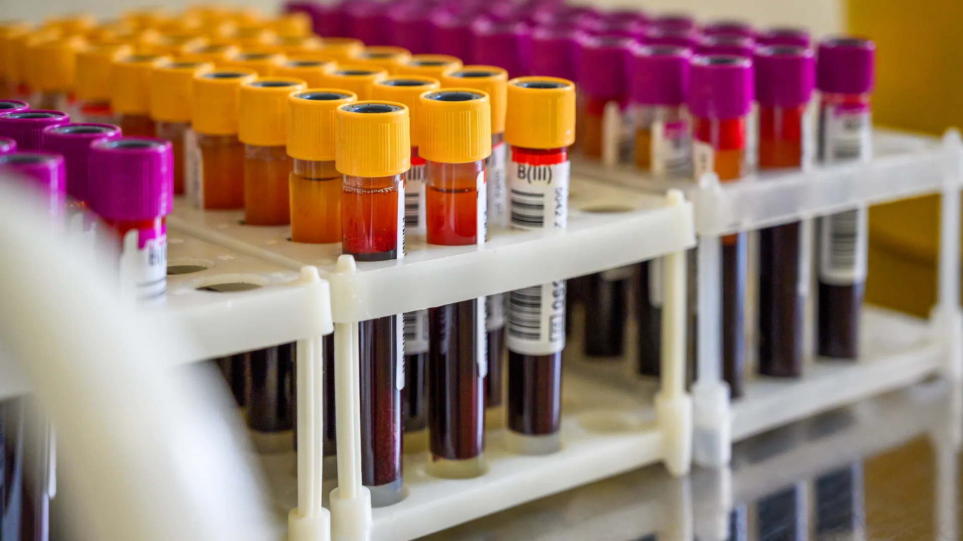 День донора в Московском областном центре крови в Воскресенске