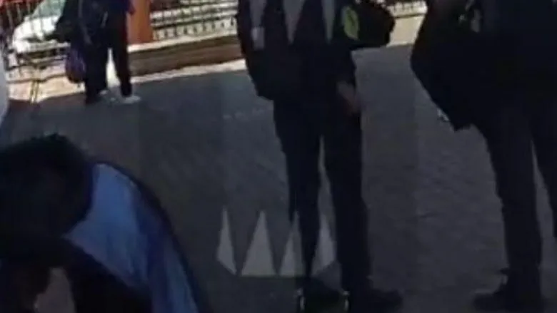 Фото: скриншот