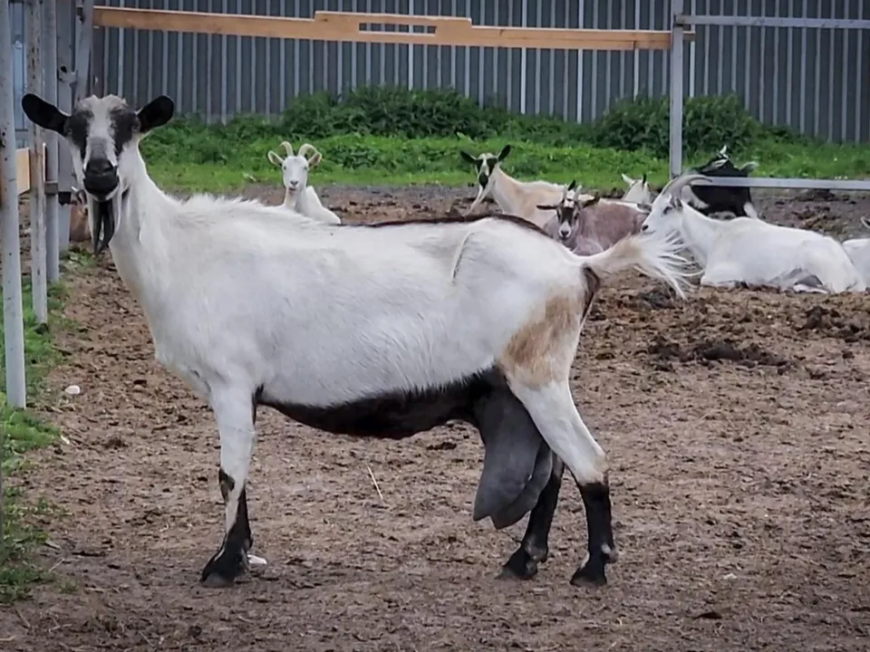 Фото: Ольга Антонова