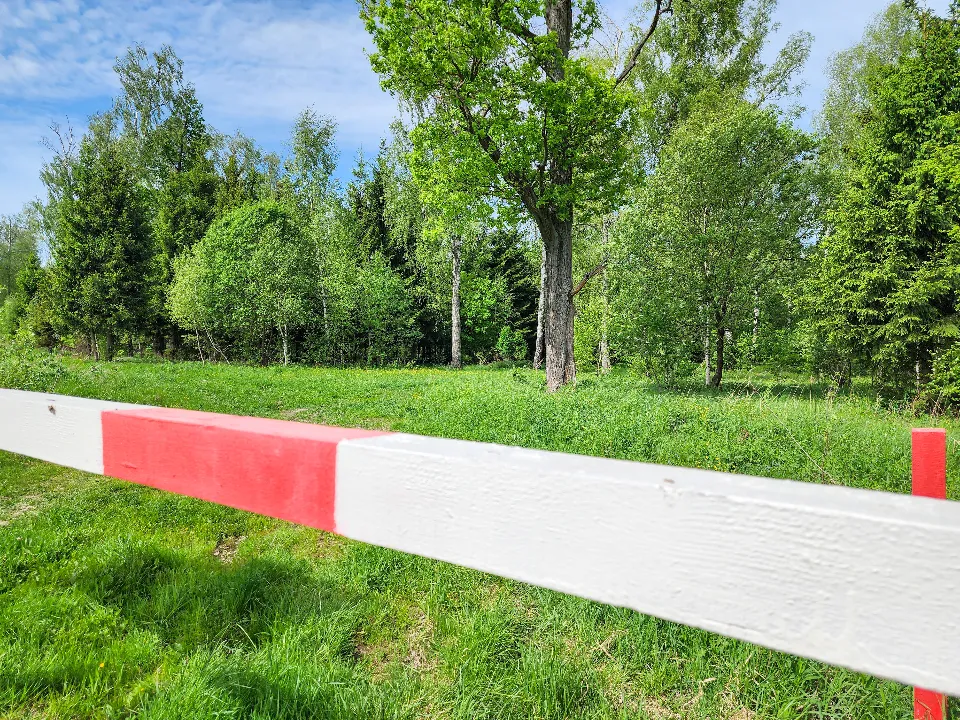 Фото: Мария Андрюхина