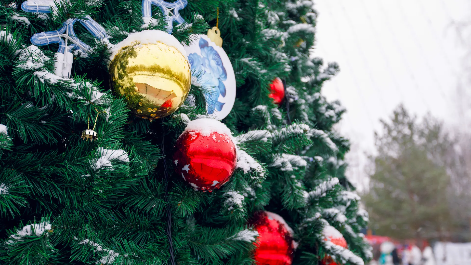 Центральный парк культуры и отдыха «Парк Мира» в Мытищах