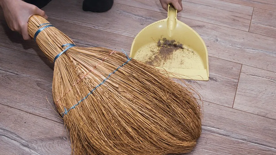 Фото: istockphoto.com/Olga Evtushkova