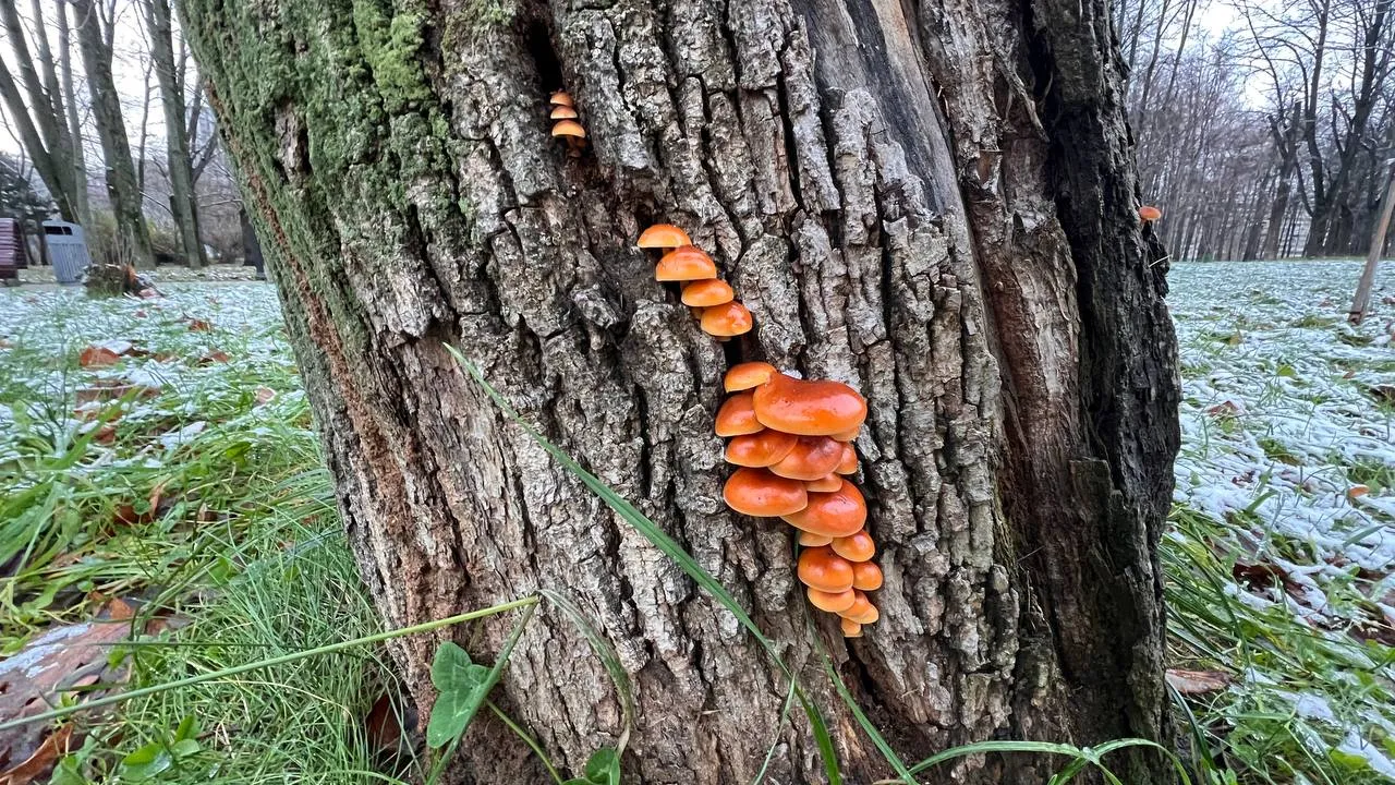 Фото: REGIONS/Елена Фурман