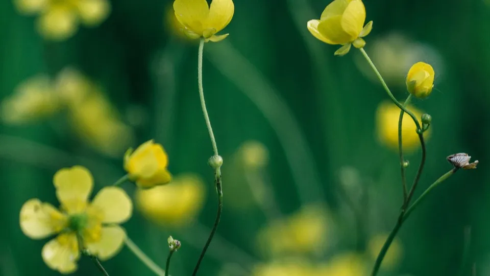 Фото: unsplash.com